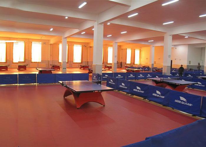 乒乓球場PU運動地板